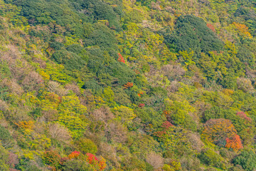 Sangumburi crater at Jeju island, Republic of Korea