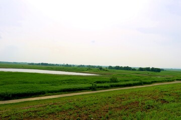 渡良瀬　道　風景　栃木　五月