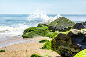 waves crashing on green mossy rocks.