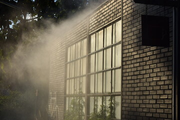 Coffee shop windows and steam hitting the morning sun.