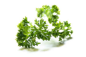 Parsley isolated on white background.