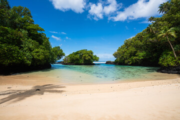 Fototapeta na wymiar Crystal clear water and palm tree on a beach in tropical Samoa