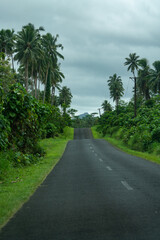 Fototapeta na wymiar The open road surrounded by lush green palm trees in Samoa