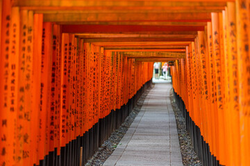 Path out of Fushimi Inari