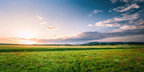 Sunrise with poppy field in front and village in Burgenland