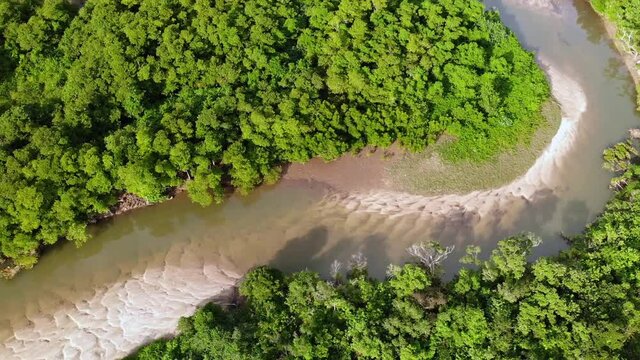 マングローブ林を流れる川をドローン空撮、俯瞰