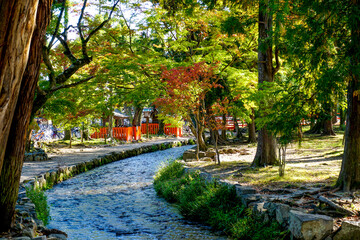 京都　上賀茂神社
