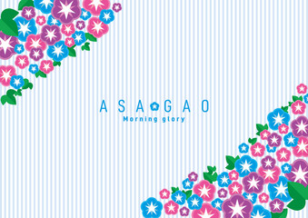 アサガオ　背景イラスト　morning glory background 02