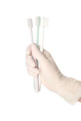Hand of dentist with toothbrushes on white background