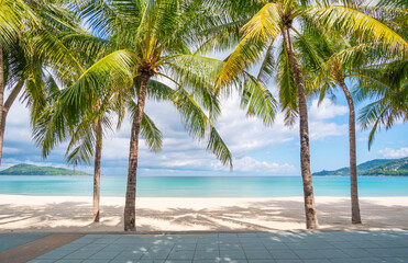 Beach sea sand and palm