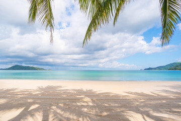 Fototapeta na wymiar Beach sea sand and palm