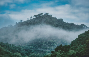 Fog in the mountains of Nicaragua