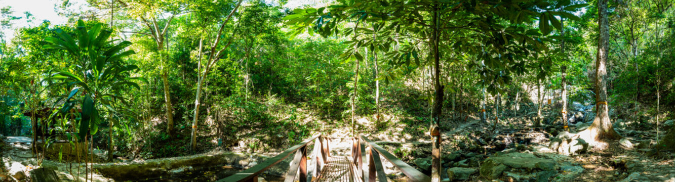 Nature Landscape in The Royal Project of Teen Tok