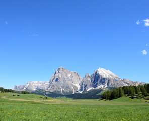 Fototapeta na wymiar Seiser Alm in Südtirol - Italien, wunderschönes Bergpanorama im Sommer 