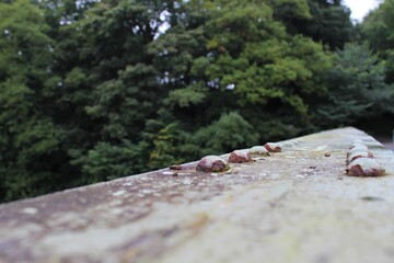 Old steel bridge with rivets