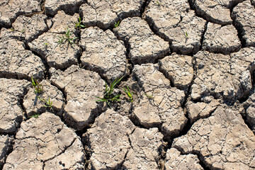 
Cracked soil, dry soil, arid, summer soil, lack of moisture, no plants, weeping tiger, Asia