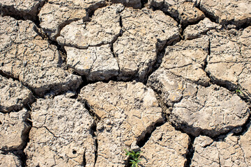 
Cracked soil, dry soil, arid, summer soil, lack of moisture, no plants, weeping tiger, Asia