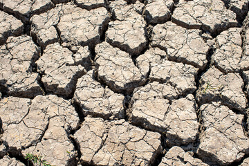 
Cracked soil, dry soil, arid, summer soil, lack of moisture, no plants, weeping tiger, Asia