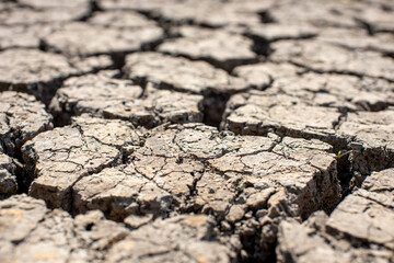 
Cracked soil, dry soil, arid, summer soil, lack of moisture, no plants, weeping tiger, Asia