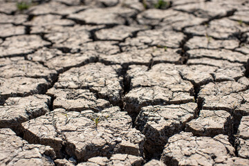 
Cracked soil, dry soil, arid, summer soil, lack of moisture, no plants, weeping tiger, Asia