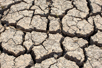 
Cracked soil, dry soil, arid, summer soil, lack of moisture, no plants, weeping tiger, Asia