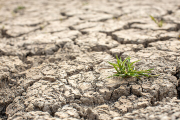 
Cracked soil, dry soil, arid, summer soil, lack of moisture, no plants, weeping tiger, Asia