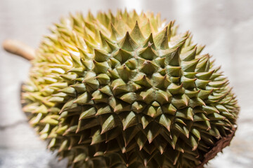 Naklejka na ściany i meble The durian is a fruit that has thorns all over.