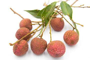 Seven lychee on the white ground.