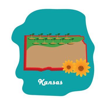 Kansas State Map With Sunflower