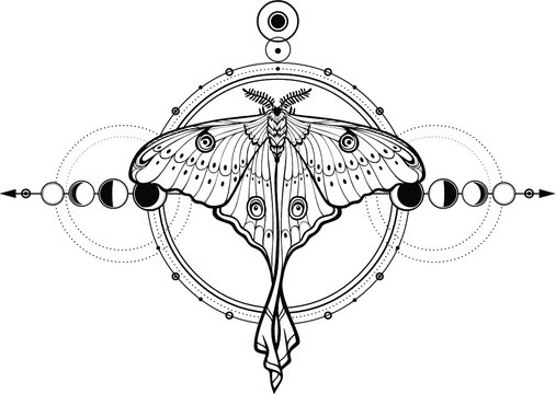 Mystical drawing: tropical butterfly, sacred geometry, moon phases, energy circles. Alchemy, magic, esoteric, occultism. Monochrome Vector Illustration isolated on a white background