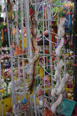 Fototapeta premium Naughty squirrel dolls are climbing