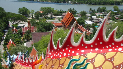 The beauty of the serpent dorsal fin.