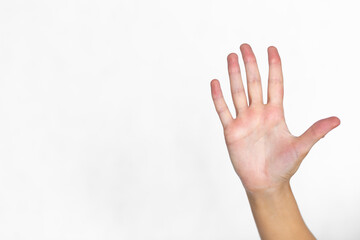  gesture "give five" on a white background. High five