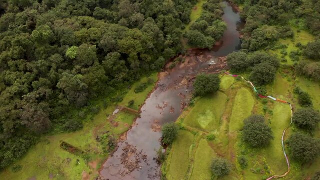 Aerial drone view of forest stream with rice paddy field, Maharashtra, India.