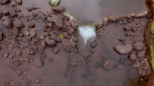 Aerial drone view of stream with buffalo, Maharashtra, India.
