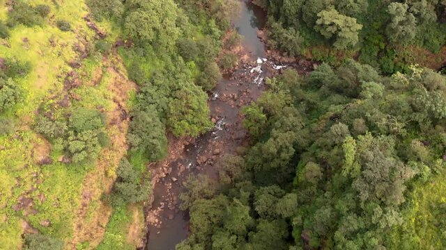 Aerial drone view of forest stream, Maharashtra, India.