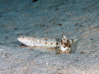 two friends hanging up