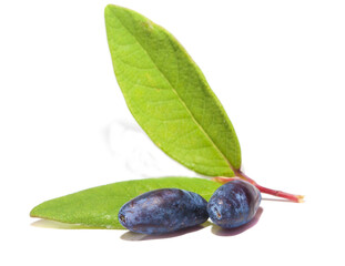 fresh honeysuckle berries with green leaves on a white background
