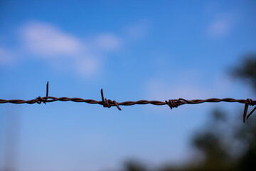 barbed wire and sky