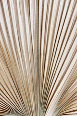 Foto auf Acrylglas Cappuccino Abstrakter Texturhintergrund mit Nahaufnahme von getrockneten natürlichen Palmenblättern