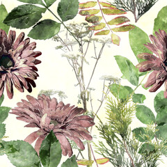 Fototapety  sztuka vintage akwarela kwiatowy wzór z astry, liście i trawy na białym tle
