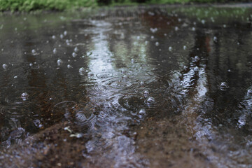 rain in the rain
