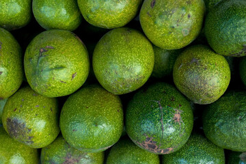 avocado in the market