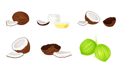 Coconut Fruit Whole and Cracked with Coconut Water or Juice and Palm Leaves Rested Nearby Vector Set
