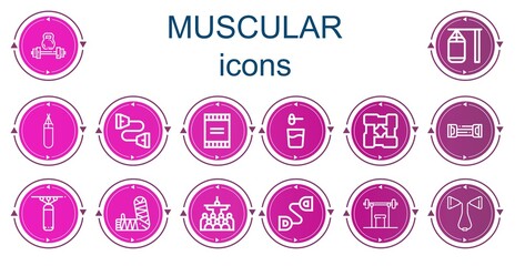 Editable 14 muscular icons for web and mobile