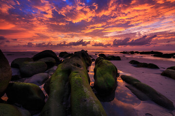 Amazing twilight Sunset seascape with sea wave hitting the green moss