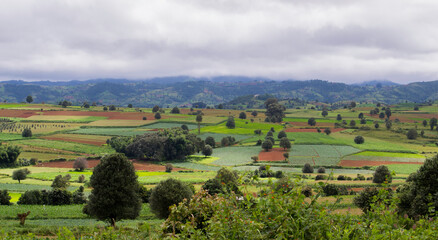 Myanmar, people working on fields between kalaw and inle lake