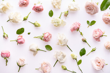 Floral composition , pattern made of pink and beige roses, green leaves, on white background. Flat lay, top view. Flowers pattern texture