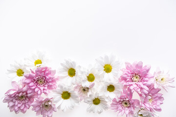 Festive flower composition  isolated on the white background. Border frame. Overhead view