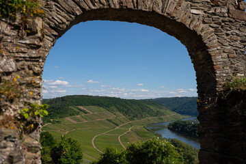 Fototapeta na wymiar With the bike on the cycle path through the countryside along the river Moselle in Rhineland-Palatinate from Trier to Koblenz in summer